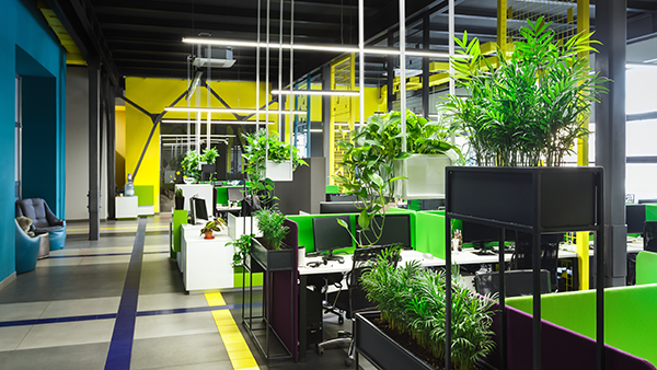 What is Biophilic Design and How Can it Improve Workplace Productivity