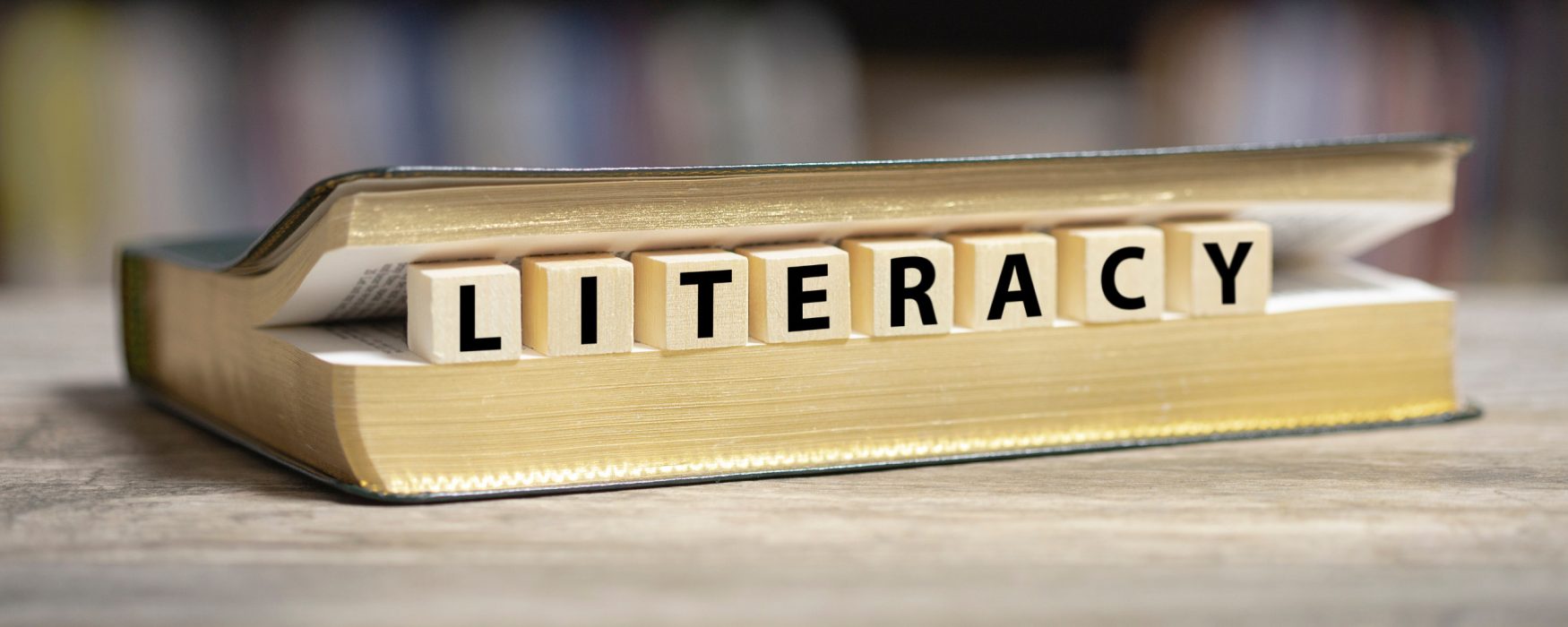 Image of a book and wooden blocks spelling the word "literacy"