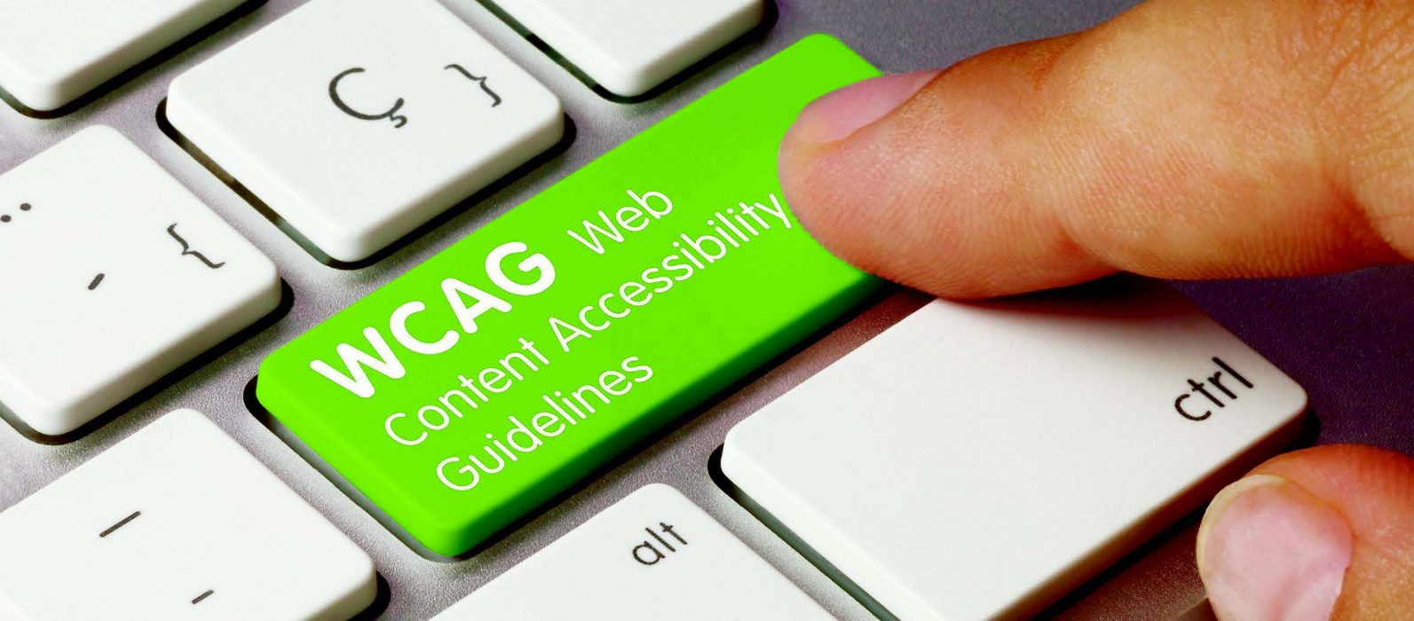 Web Content Accessibility Guidelines