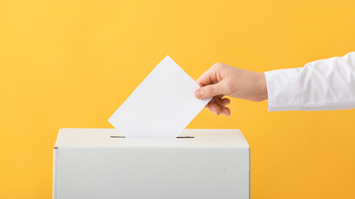 Image of a voter placing ballot in a box