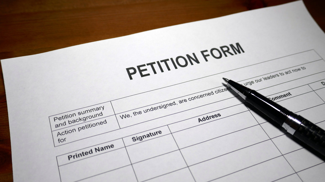 placeholder image of a petition form - board of canvassers