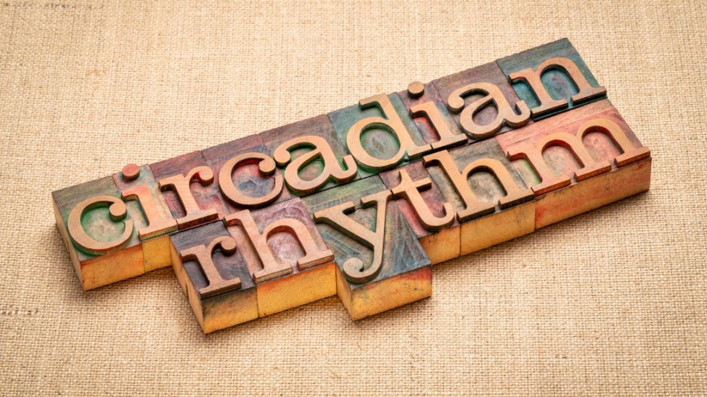 Placeholder for article on understanding employees circadian rhythm.